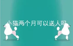 小猫两个月可以送人吗