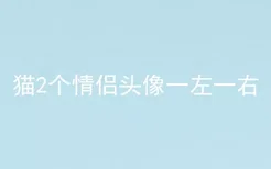 猫2个情侣头像一左一右