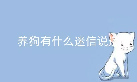 养狗有什么迷信说道