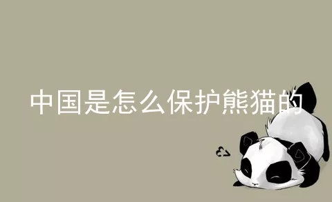 中国是怎么保护熊猫的