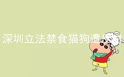 深圳立法禁食猫狗遭反对