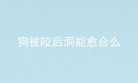 狗被咬后洞能愈合么