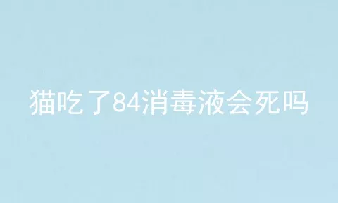 猫吃了84消毒液会死吗