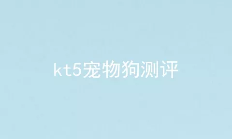 kt5宠物狗测评