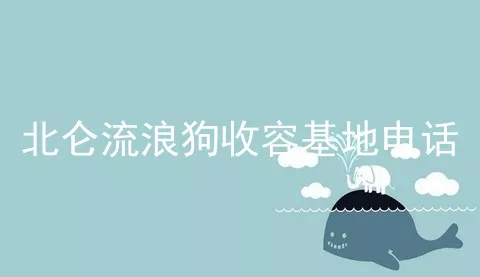 北仑流浪狗收容基地电话