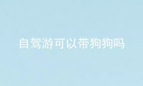 自驾游可以带狗狗吗