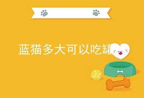 蓝猫多大可以吃罐头