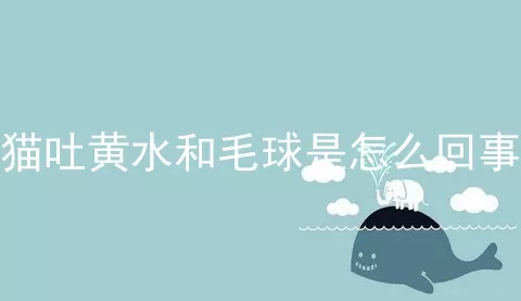 猫吐黄水和毛球是怎么回事