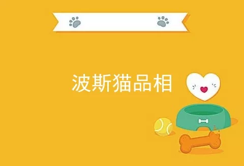 波斯猫品相