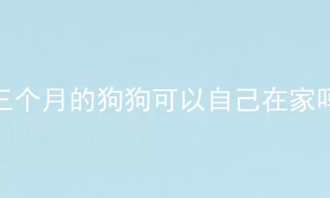 三个月的狗狗可以自己在家吗