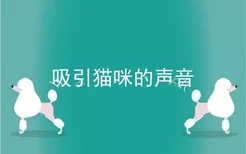 吸引猫咪的声音