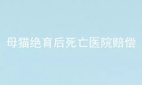 母猫绝育后死亡医院赔偿