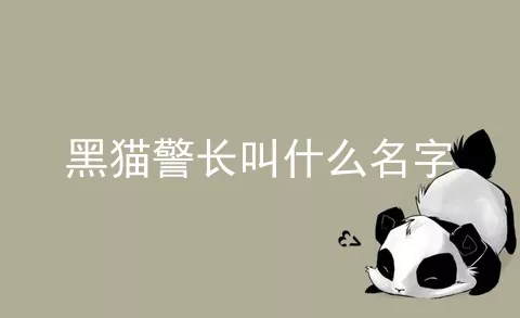 黑猫警长叫什么名字