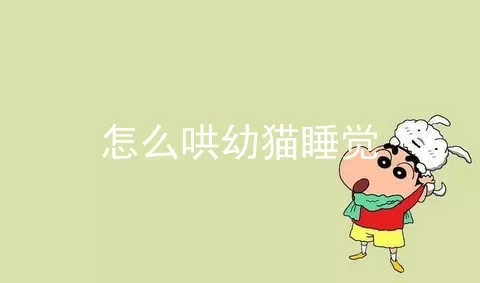 怎么哄幼猫睡觉