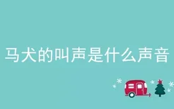 马犬的叫声是什么声音