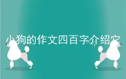 小狗的作文四百字介绍它