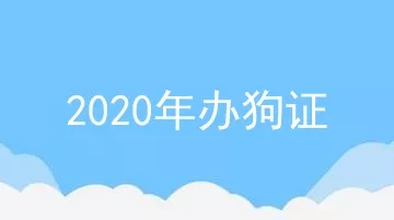 2020年办狗证