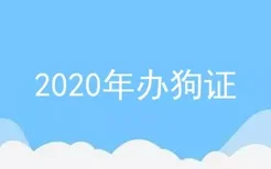 2020年办狗证