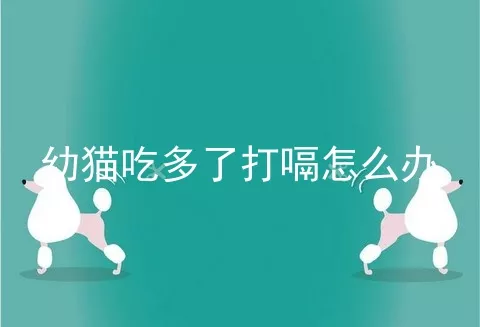 幼猫吃多了打嗝怎么办