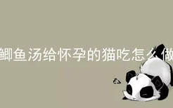 鲫鱼汤给怀孕的猫吃怎么做