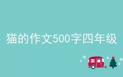 猫的作文500字四年级