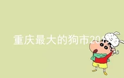 重庆最大的狗市2019