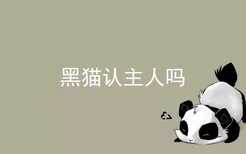 黑猫认主人吗