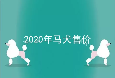 2020年马犬售价