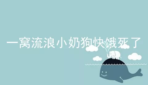 一窝流浪小奶狗快饿死了