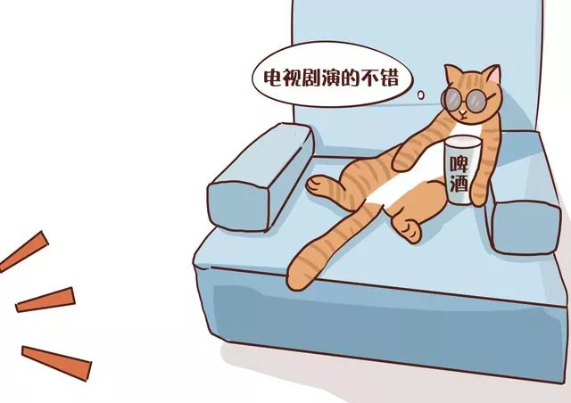 猫几个月算成年(美短猫几个月算成年)