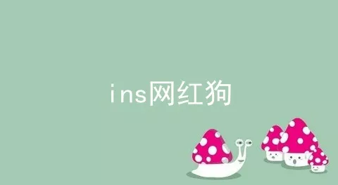 ins网红狗