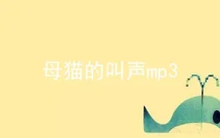 母猫的叫声mp3