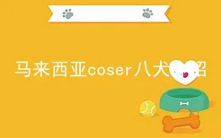 马来西亚coser八犬介绍