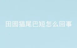 田园猫尾巴短怎么回事