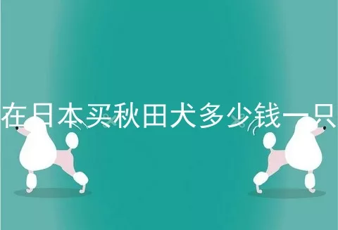 在日本买秋田犬多少钱一只