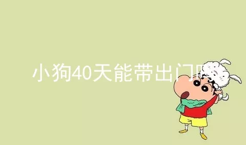 小狗40天能带出门吗