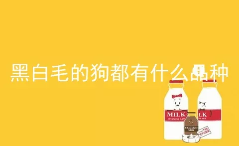 黑白毛的狗都有什么品种