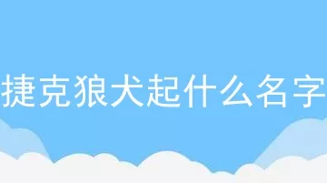 捷克狼犬起什么名字