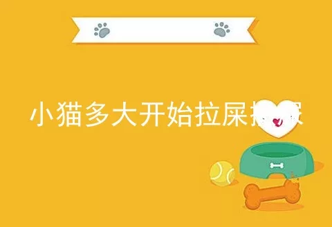 小猫多大开始拉屎撒尿