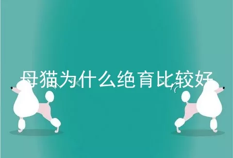 母猫为什么绝育比较好