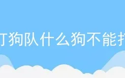 打狗队什么狗不能打