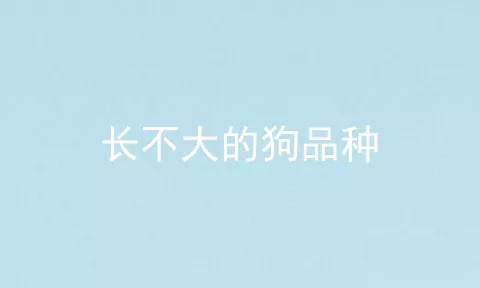 长不大的狗品种