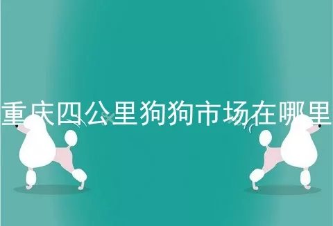 重庆四公里狗狗市场在哪里