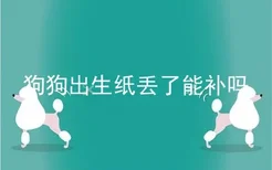 狗狗出生纸丢了能补吗