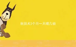 秋田犬3个月一天喂几顿