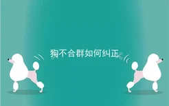 狗不合群如何纠正