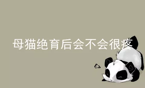 母猫绝育后会不会很疼