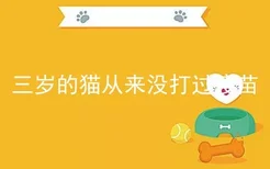 三岁的猫从来没打过疫苗