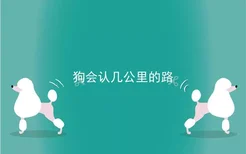 狗会认几公里的路