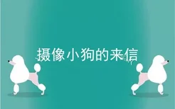 摄像小狗的来信